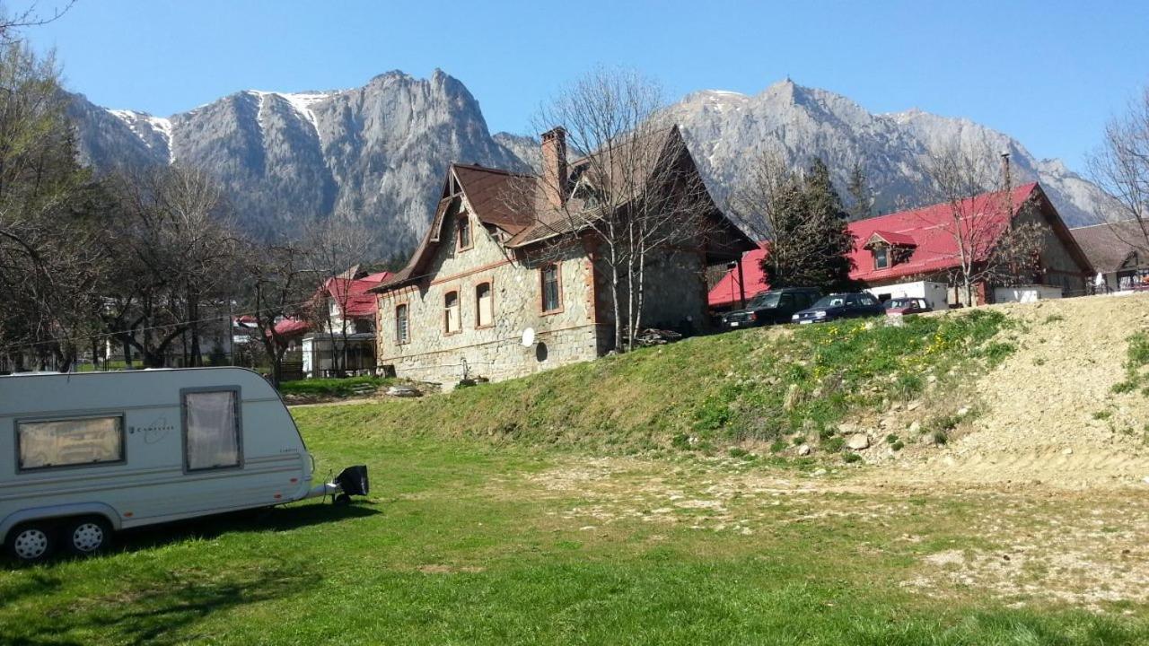Camping Aviator Busteni, Camere Zewnętrze zdjęcie